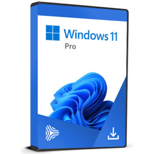 Windows 11 Pro Licentie